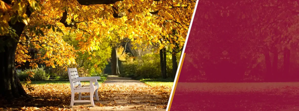 Servicii Funerare și Pompe Funebre